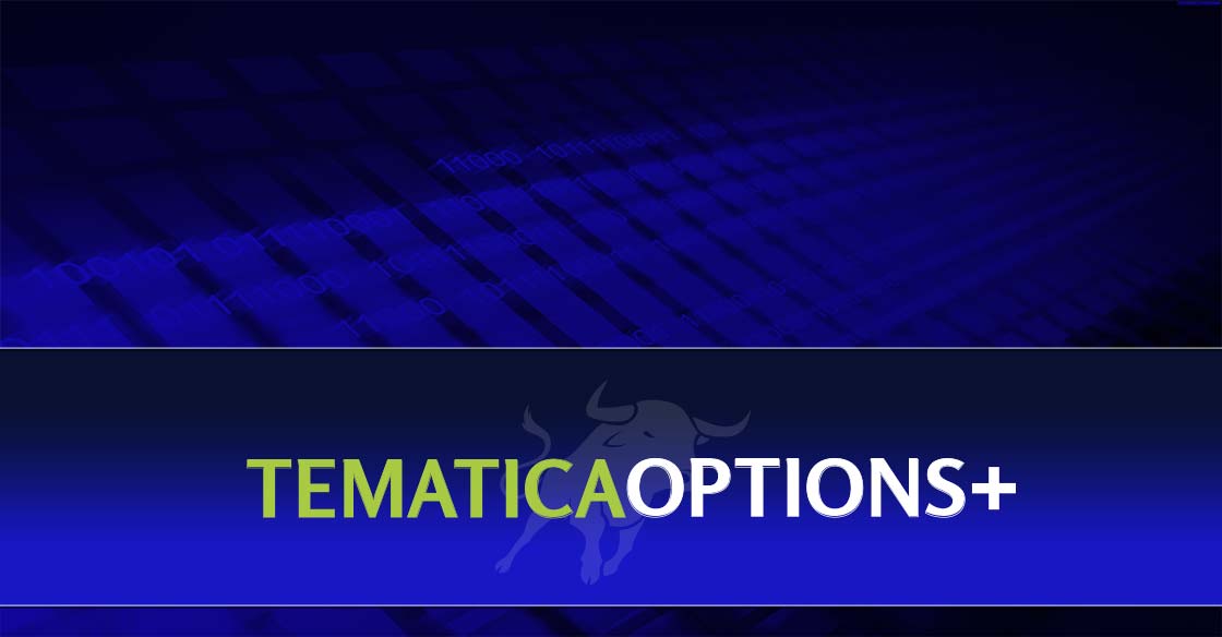 Tematica Options+: A Thematic Look at 2019 and a New Option Trade