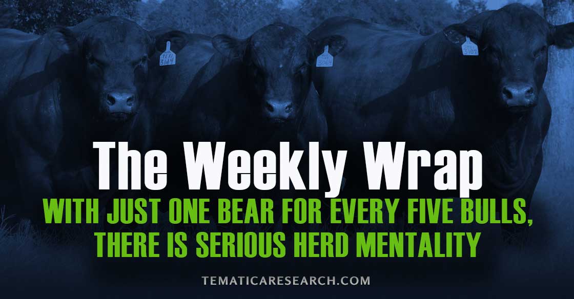 With Just One Bear For Every Five Bulls, There Is Serious Herd Mentality