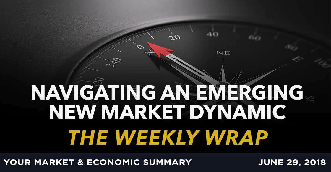 Weekly Wrap: Navigating the Emerging New Market Dynamic