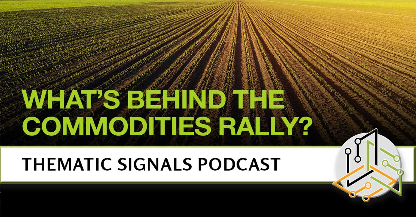 What’s Behind the Commodities Rally?